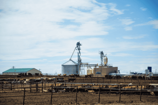 Fort Morgan Dinklage Feed Mill