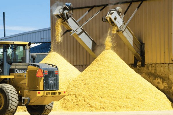 Dinklage Feedyards Fort Morgan Colorado