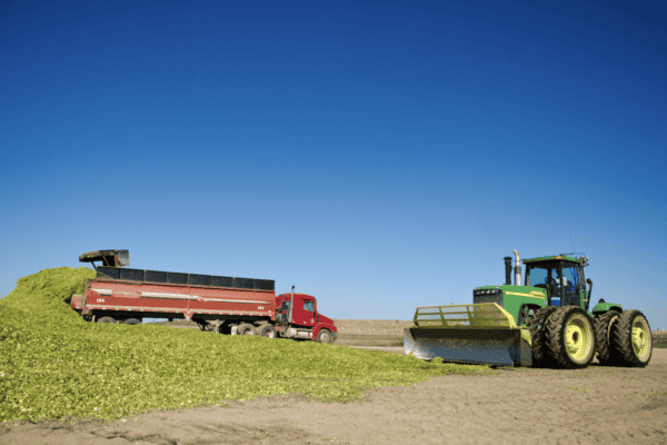 Silage Packing Truck and Tractor at Dinklage Feedyard in Sidney Nebraska