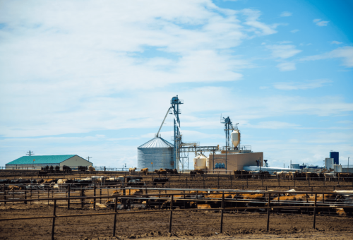 Fort Morgan Dinklage Feed Mill